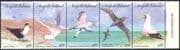 Norfolk Island 1994 Sea Birds/ Tern/ Gannet/ Shearwater/ Booby/ Tropic Bird/ Nature/ Wildlife 5v s/t stp (b9711)