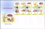 Pakistan 2005 Fungi/ Mushrooms/ Nature 10v blk FDC (n15293)