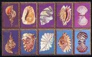 Palau 1984 Sea Shells / Marine / Nature 10v blk (n30090)