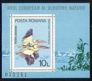 Romania 1980 Birds/ Nature/ Pelicans/ Wildlife 1v m/s (n27943)
