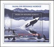Romania 1992 Killer Whale/ Orcas/ Whales/ Marine/ Nature/ Wildlife/ Conservation 1v m/s (b988)