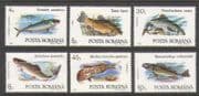 Romania 1992 Tench/ Perch/ Mullet/ Fish/ Marine/ Nature/ Fishing 6v set (n20791)