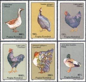 Romania 1995  Domestic Birds/ Geese/ Ducks/ Turkey/ Chicken/ Nature  6v set  (s3982q)