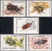 Romania 1996 Beetles/ Insects/ Nature/ Wildlife/ Conservation 5v set (n18621)