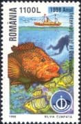 Romania 1998 International Year of the Ocean/ Diver/ Fish/ Boat/ Ship 1v (n17672e)