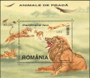 Romania 2000 Lions/ Wild Cats/ Animals/ Nature/ Wildlife/ Conservation 1v m/s (b5064a)