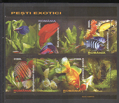 Romania 2005 Tropical Fish/Nature/Freshwater/Goldfish/Discus/Pets 4v m/s n15218