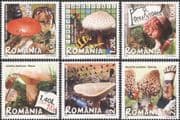 Romania 2008 Fungi/ Mushrooms/ Plants/ Nature/ Edible/ Poisonous 6v set (n16425a)