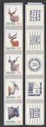 RSA 1998 Antelopes / Animals / Wildlife 5v s / a stp (n21446)