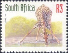 RSA 1998  Giraffe/ Animals/ Nature/ Wildlife  redrawn  1v  (za10074a)