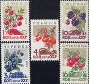 Russia 1964 Woodland Berries/ Fruit/ Nature/ Flowers/ Food/ Nature 5v set (n17898a)
