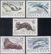 Russia 1971 Dolphins/ Seals/ Otter/ Walrus/ Narwhal/ Marine/ Animals 5v set (ru1161)