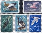 Russia 1972 Geese/ Gulls/ Cormorant/ Eider/ Birds/ Nature/ Wildlife 5v set (ru1118)