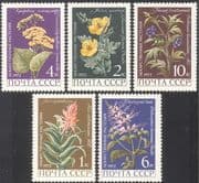 Russia 1977 Medicinal Plants/ Aloe/ Poppy/ Flowers/ Nature/ Health 5v set (n42975)