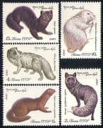 Russia 1980 Animals / Nature / Wildlife / Mink / Fox 5v n29130