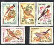 Russia 1981 Song Birds / Nature / Wildlife / Tit / Bunting / Flycatcher 5v set (n36722)