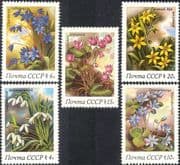 Russia 1983 Snowdrops/ Cyclamen/ Spring Flowers/ Plants/ Nature 5v set (n17991)