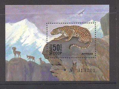 Russia 1985 Cat / Leopard / Raptor / Animals 1v m / s (n12080)