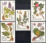 Russia 1985 Rose/ Larkspur/ Cornflower/ Flowers/ Plants/ Nature 5v set (n44125)