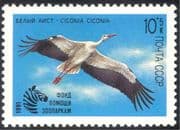 Russia 1991 Zoo Relief Fund/ White Storks/ Birds/ Nature/ Animals/ Wildlife/ Conservation 1v (n43130)