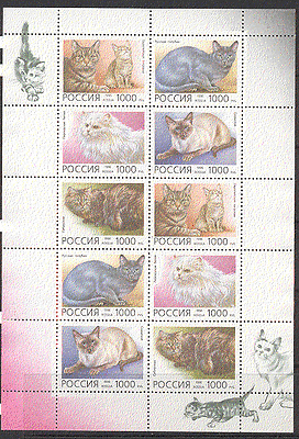 Russia 1996 Domestic Cats / Pets 10v sht ref:s753