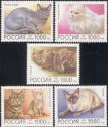 Russia 1996 Domestic Cats/ Pets/ Animals/ Nature 5v set (s753a)