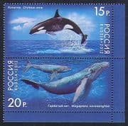 Russia 2012 Whales / Nature / Marine / Wildlife / Conservation / Environment 2v pr n33806