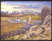 Russia 2013 Raptor/ Moorland/ Bird/ Nature/ Heritage/ Conservation/ Environment 1v m/s (n38791)