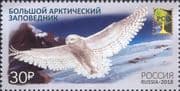 Russia 2018 Owl/ Birds of Prey/ Raptors/ Arctic Nature Reserve/ Conservation 1v (ru1191)