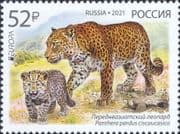 Russia 2021 Europa/ Persian Leopard/ Wildlife/ Animals/ Cats/ Nature 1v (ru1226)