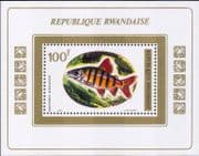 Rwanda 1973 Six Banded Distichodus/ Tropical Fish/ Nature/ Wildlife 1v m/s (n22302)