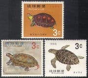 Ryukyus 1965 Turtles / Tortoises / Animals 3v set (s3618)