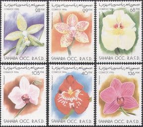 Sahara 1996 Flowers/ Orchids/ Plants/ Nature 6v set (b7372)