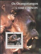 Sao Tome 2004 Orangutans/ Apes/ Nature/ Wildlife/ Conservation 1v m/s (n12631)
