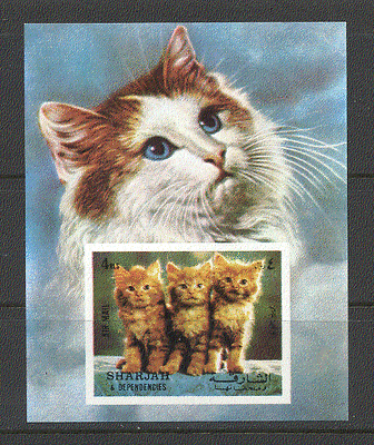 Sharjah Cats / Pets / Domestic Animals 1v imperf m / s n19131