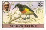 Sierra Leone 1983 Sunbird / Birds/ Nature/ Wildlife IMPERFORATE 1v (n22060)