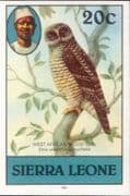 Sierra Leone 1983 West African Wood Owl/Birds/ Nature/ Wildlife/ Owls IMPERFORATE 1v (n22062)