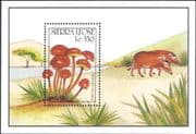 Sierra Leone 1990 Fungi/ Mushrooms/ Nature/ Plants 1v m/s (s1836k)