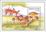 Sierra Leone 1990 Fungi/ Mushrooms/ Plants/ Nature/ Animals/ Wildlife 1v m/s (b2232h)