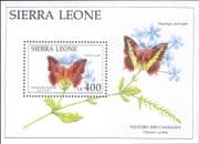 Sierra Leone 1991 Butterflies/ Insects/ Nature/ Butterfly/ Plants 1v m/s (b9909a)