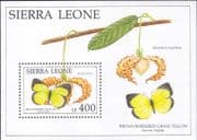 Sierra Leone 1991 Butterflies/ Insects/ Nature/ Butterfly/ Plants 1v m/s (b9909b)