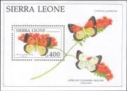 Sierra Leone 1991 Butterflies/ Insects/ Nature/ Butterfly/ Plants 1v m/s (b9909c)