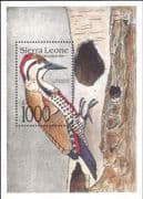 Sierra Leone 1992 Woodpecker/ Birds/ Nature/ Wildlife/ Conservation 1v m/s (b2338)