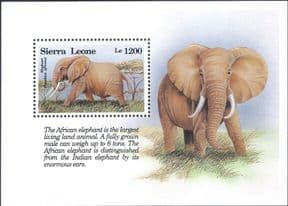 Sierra Leone 1993  Elephant/ Animals/ Nature/ Wildlife/ Conservation  1v m/s  (b4372k)