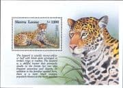 Sierra Leone 1993 Leopards/ Animals/ Nature/ Wild Cats/ Wildlife 1v m/s (s2276d)