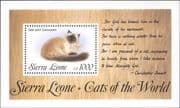 Sierra Leone 1993 Seal-Point/ Domestic Cats/ Animals/ Nature/ Pets 1v m/s (b2105g)