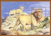 Sierra Leone 1995 Lions/ Animals/ Nature/ "Singapore '95" StampEx 1v m/s (b4932y)