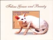 Sierra Leone 2004 Domestic Cats/ Devon Rex/ Pets/ Animals/ Nature 1v m/s (n12661)