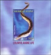 Sierra Leone 2004 Lamprey/ Fish/ Animals/ Marine/ Nature/ Wildlife 1v m/s (b9092t)