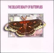 Sierra Leone 2004 Moths/ Butterflies/ Insects/ Nature/ Conservation/ Moth 1v m/s (n26400h)